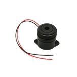 Buzzer With Mounting Holes